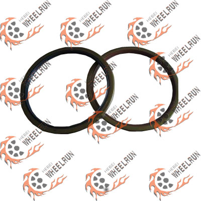 oil seal