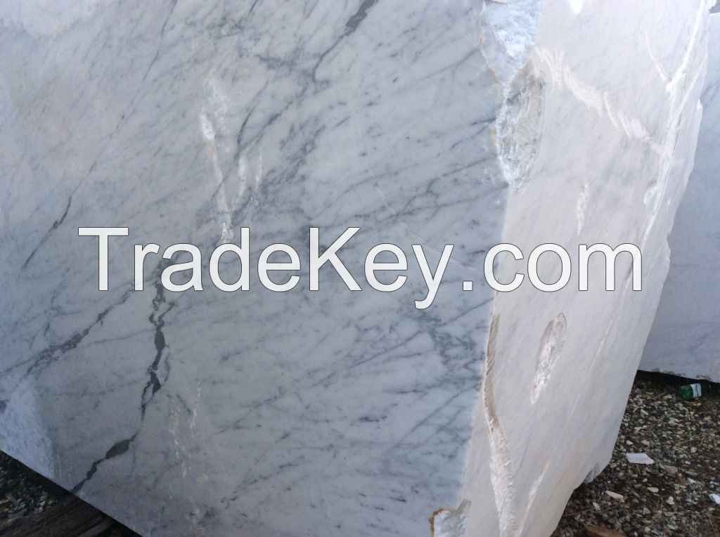 VENATINO - WHITE ITALIAN CARRARA MARBLE BLOCKS