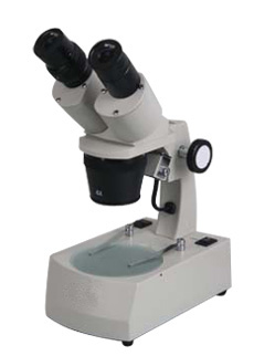 stereo microscope