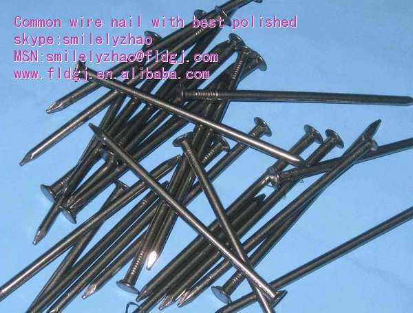 Common wire nails  length:1-7 inch