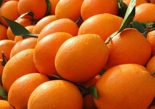 navel orange