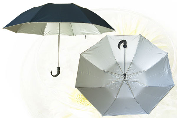 Two fold umbrella