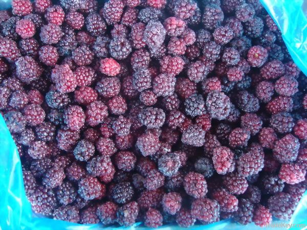 frozen blackberry