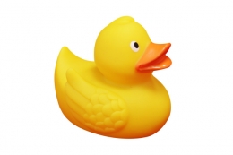 rubber duck