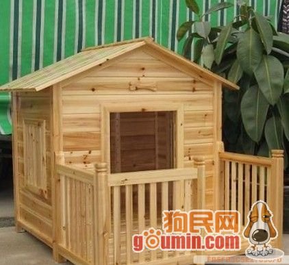 dog house