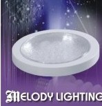 Ceiling Lamp /light/bulb manufacturer