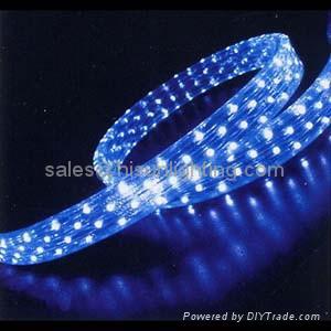 LED Rope Light