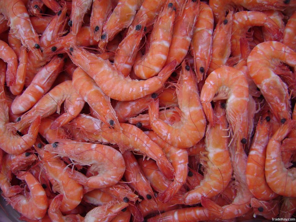 frozen shrimp