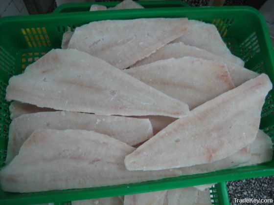 Frozen hoki fillet