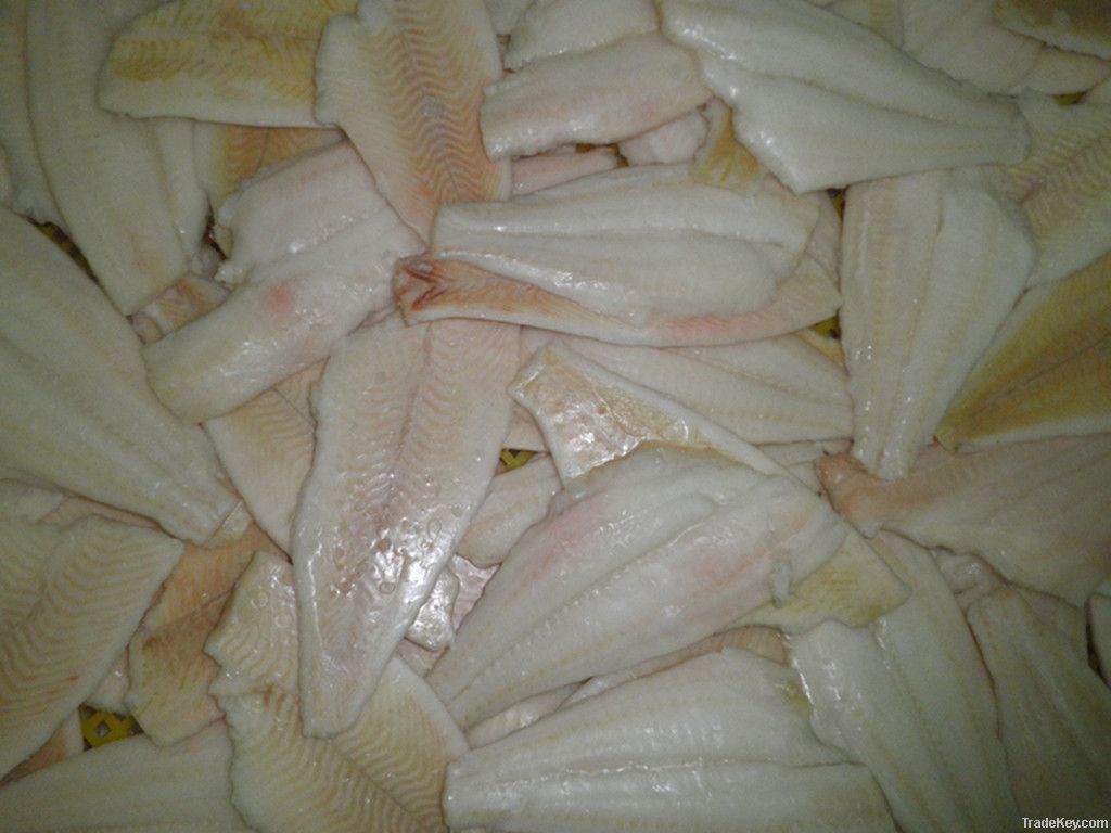 Frozen Yellow fin sole fillet