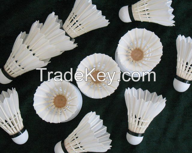 supply feather shuttlecocks badminton of DAYI-xuanshou grade feather shuttlecocks