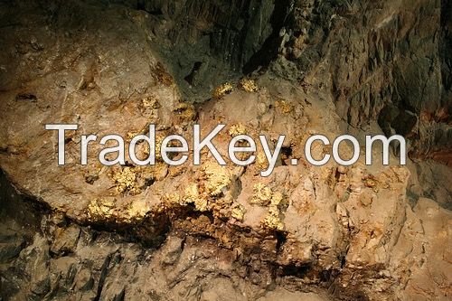 Gold Nuggets