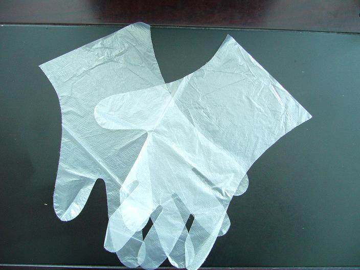 Disposable PE Glove