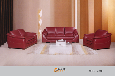 Leather Sofa