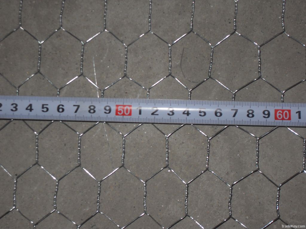 Hexagonal Mesh (Netting)