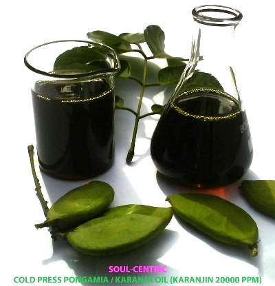 Pongamia/Karanja Oil ( Cold Press)