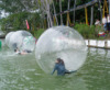 water walking ball