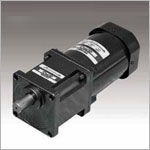 SPG AC/DC motor