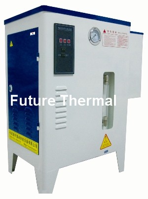 Small Electric Steam Generator(3-36KW)