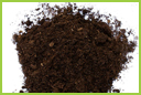Black peat