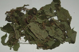 Nettle Tea