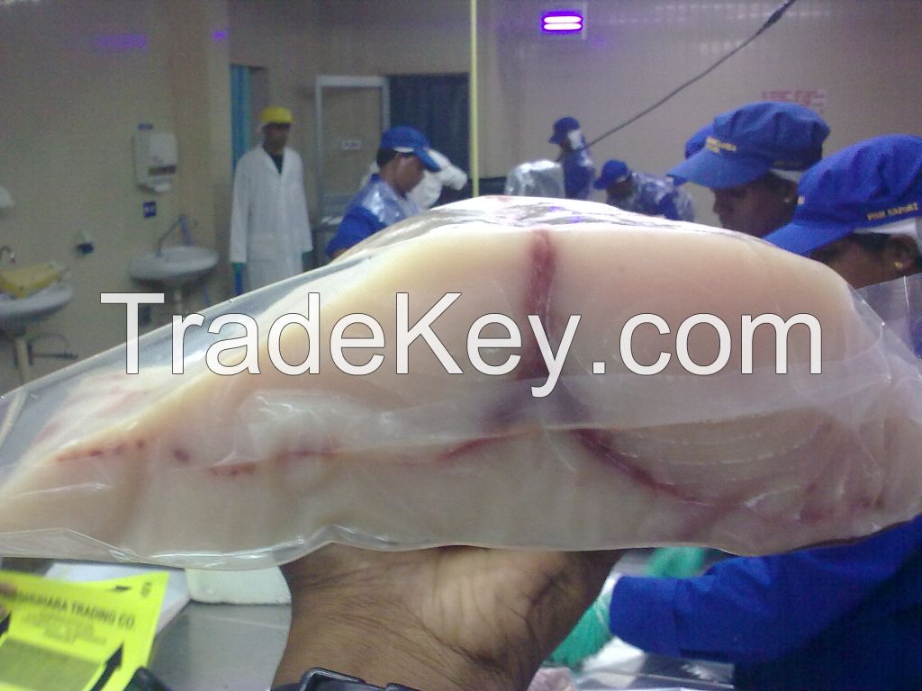 Fresh and Frozen Sword Fish 