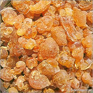 Gum Arabic