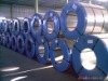 GI Steel Coil/Sheet