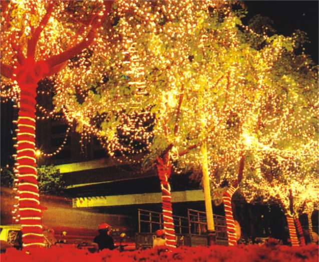 Sell Led lighting for Christmas tree