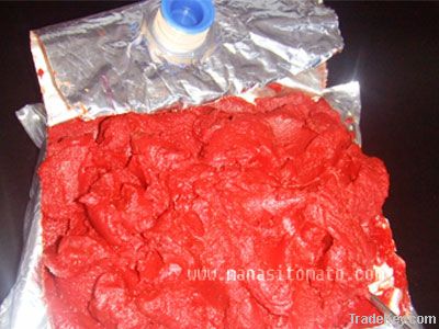 tomato paste