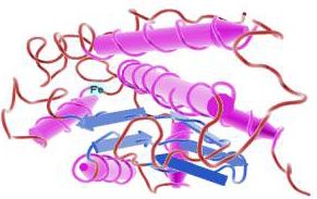 Fe-Superoxide Dismutase