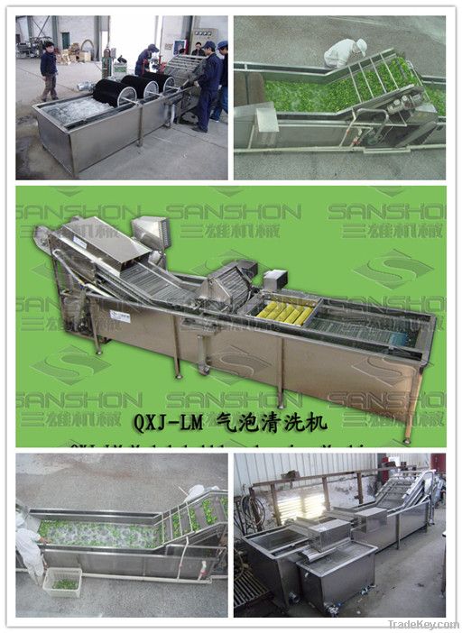 fruit &amp; vegetable washing machine