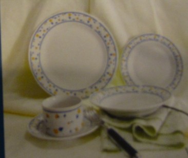 20 PCS DINNER SETS