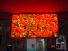 Indoor full color LED display