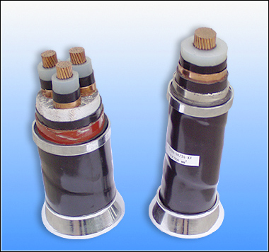 XLPE Insulated Armoured Power Cable