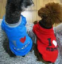 Fashionable Pet clothes