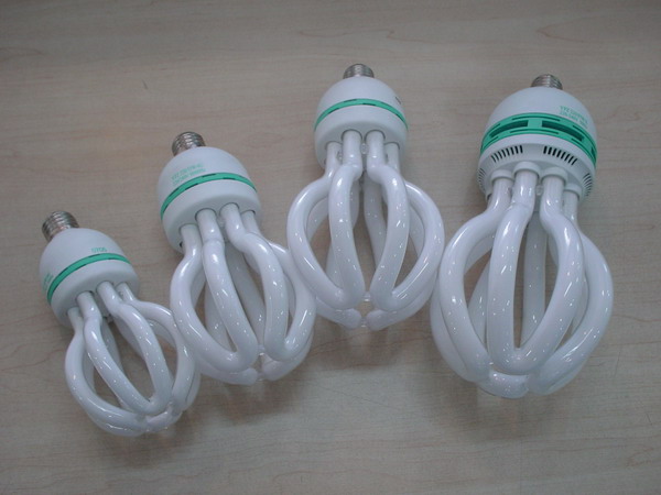 Energy Saving Lamps