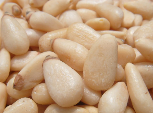 Chinese pine nut