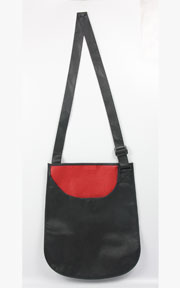 Non Woven Bag