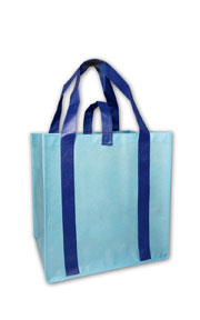 shopping bag