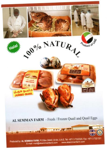 Frozen Halal Quails