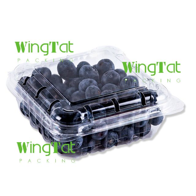 125gr blueberry packing punnet