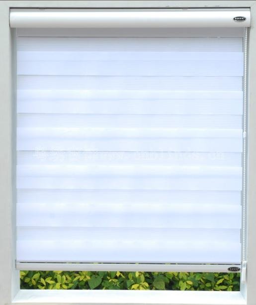 various types of zebra blinds