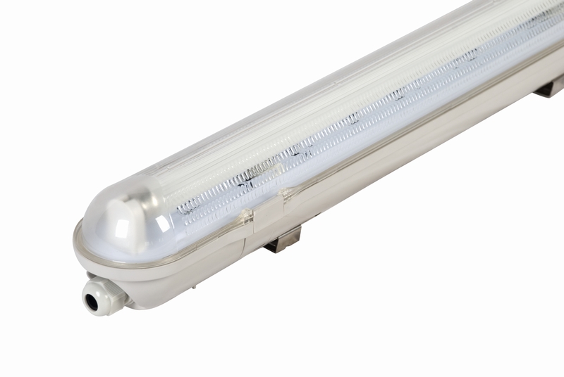 Fluorescent Light (T8FH9118)