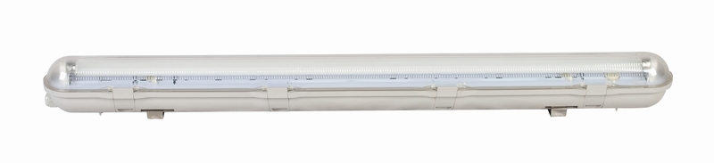 Fluorescent Light (T8FH9136)