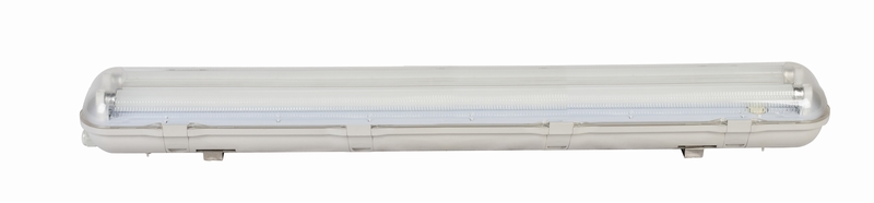 Fluorescent Light (T8FH9236)