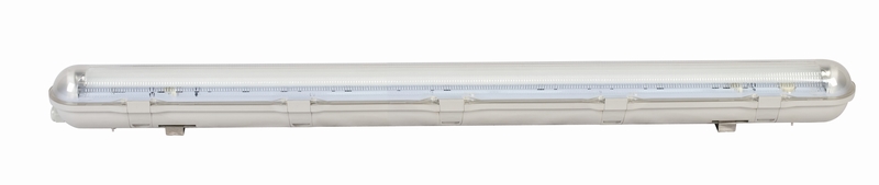 Fluorescent Light (T8FH9158)