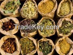 Medicinal herbs