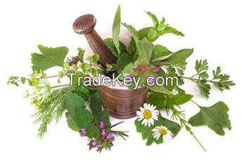 Elmar Medicinal Herbs