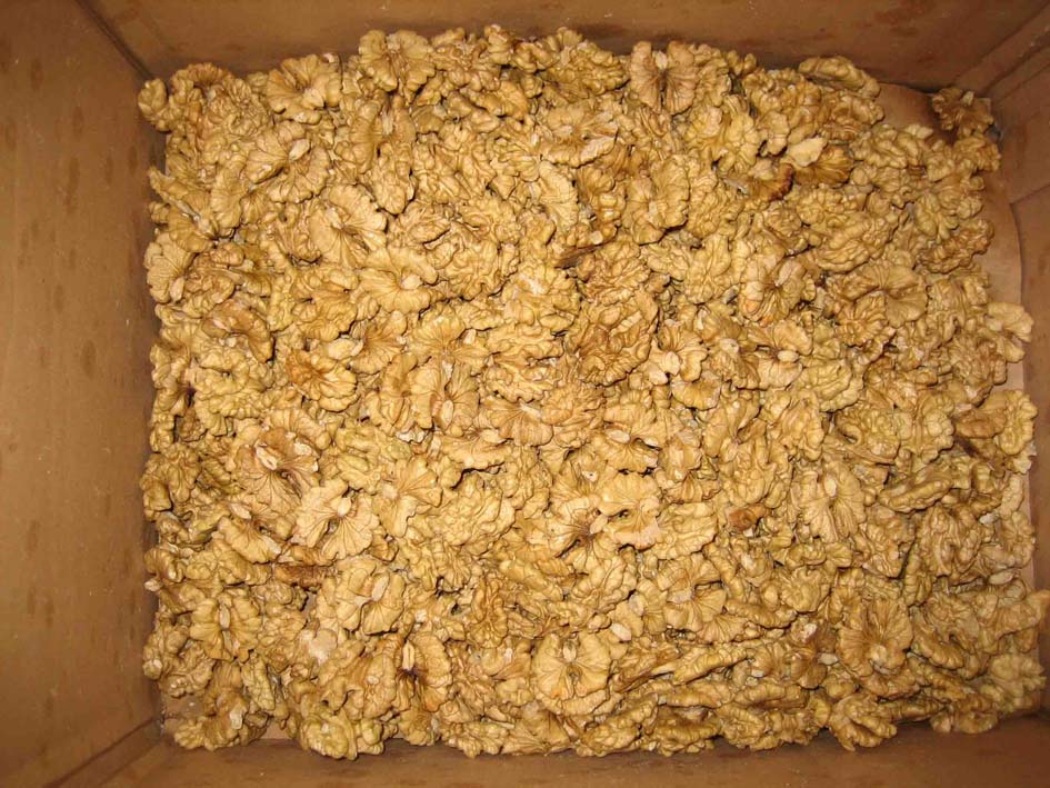 walnut kernels